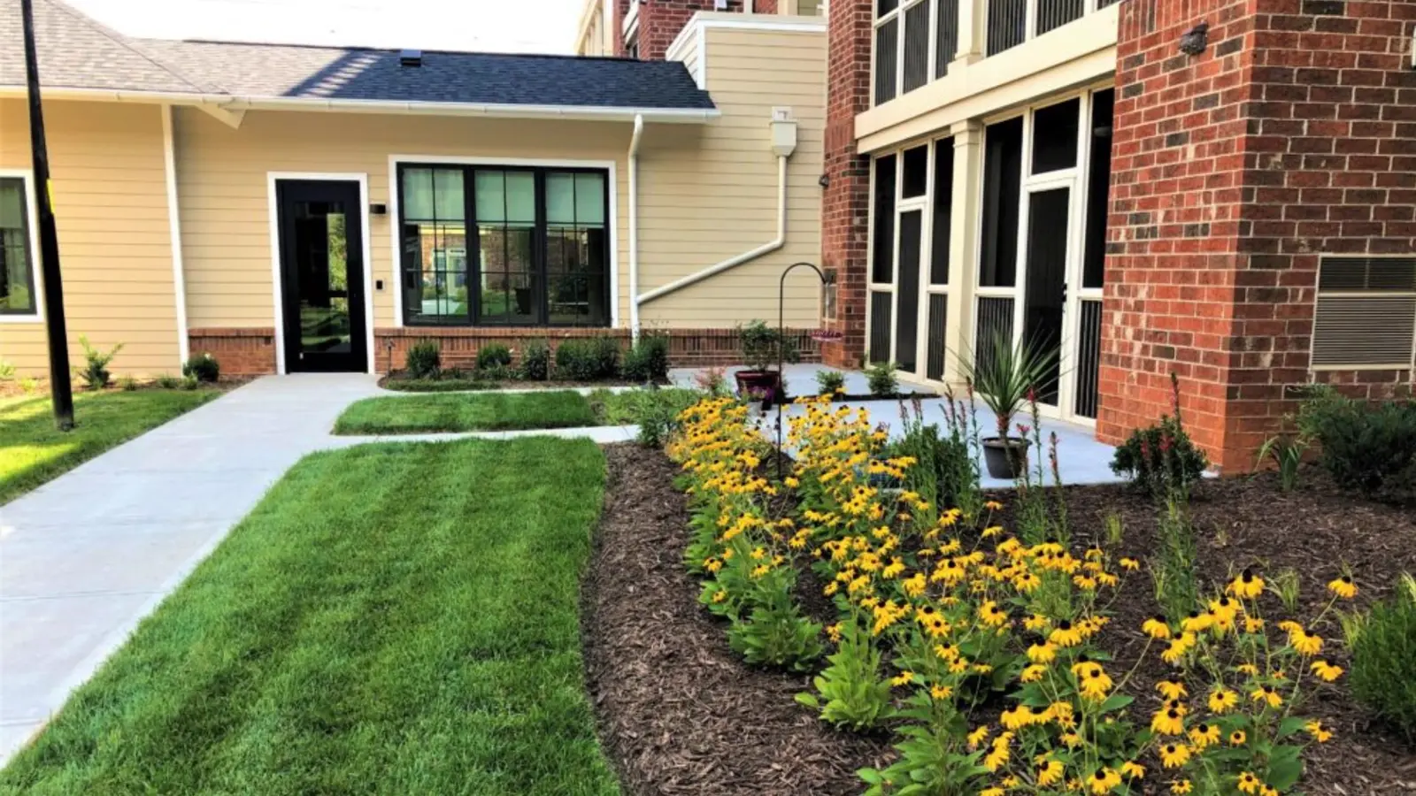 flower bed with mulch