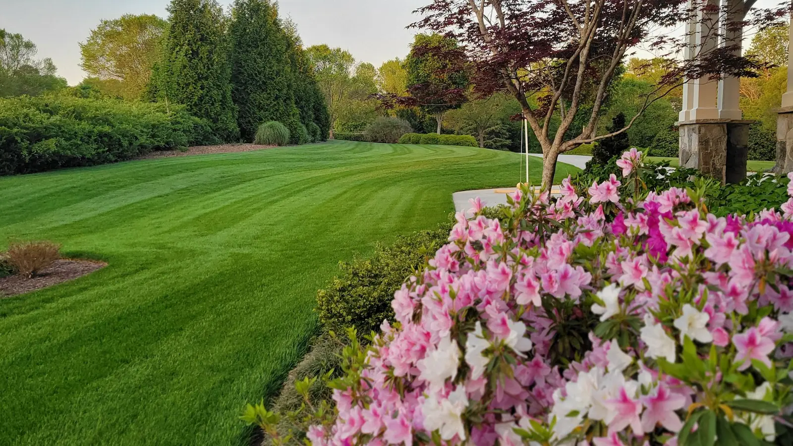 fresh cut grass and azaleas