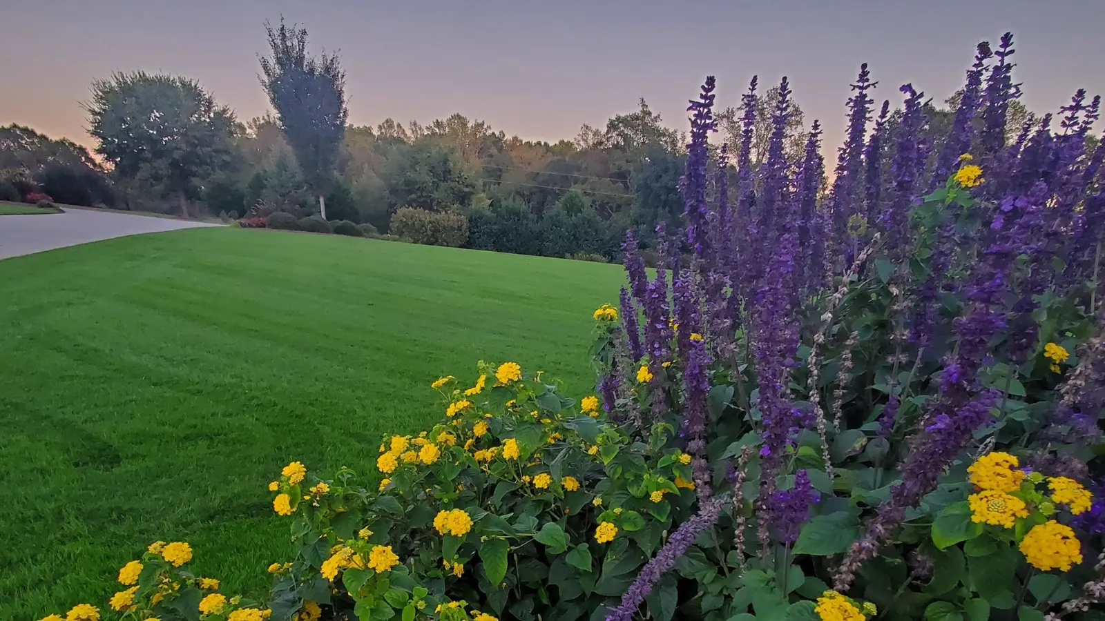 green lawn with flowers