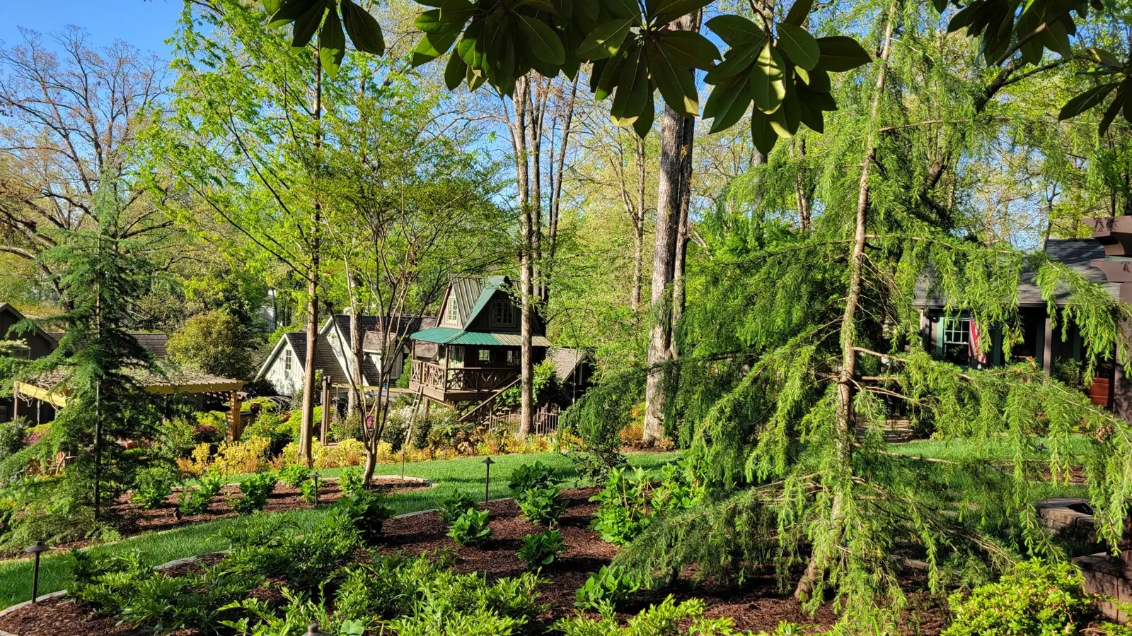 green plantings